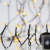 Χριστουγεννιάτικα Λαμπάκια Σειρά 700 LED Πράσινο Καλώδιο Θερμό Λευκό IP44 300Χ60cm| Eurolamp | 600-11591
