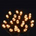 Χριστουγεννιάτικα λαμπάκια 20 LED σε θερμό φως με μπαταρία και πράσινο καλώδιο | Redpoint | 26428